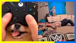 FUN CLICKS OF INTERNET 2021|FUNNY VIDEOS 2021