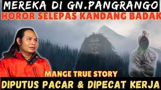 PENDAKIAN GUNUNG PANGRANGO YANG GA BISA GUE LUPA. MISTIS NYA PUNCAK MANDALAWANGI  @BESOKPAGICH