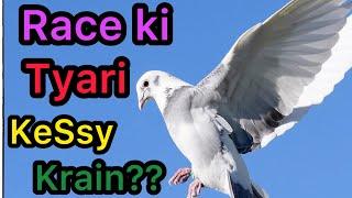 How to Train Racing Pigeons For Race 2024 | Racer Kabootar ki Race