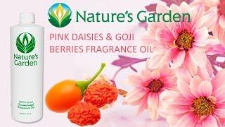 Pink Daisies and Goji Berries Fragrance Oil- Natures Garden