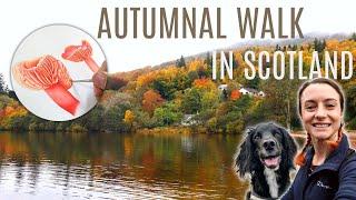 AUTUMNAL WALK IN SCOTLAND | Kenmore, Perthshire | Painting Waxcap Mushrooms in Watercolour | Ep40