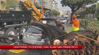 Severe weather damage in San Francisco