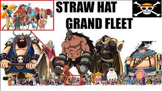 Straw Hat Grand Fleet + Ninja-Pirate-Mink-Samurai Alliance! | One Piece Comparison/Compilation