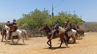 Cavalgada em Sítio Mamoeiro verdejante PE.22 de setembro de 2024.