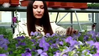Специальность 35.02.12 Садово - парковое и ландшафтное строительство