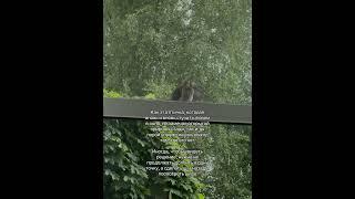 Тебе нужно это прочитать ️ #мотивация #цитаты #вдохновение