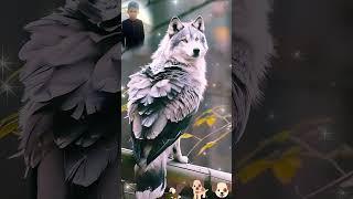 Dog and Eagle#dog #anima #trending #viralvideo #video #youtubeshorts #foryou #2024 #2024shorts