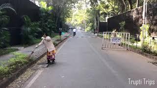 Walking in - Koregaon Park |Greenery| Osho International Lane | Morning Walk | Pune