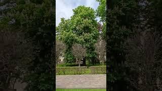 12 мая 2025 г.