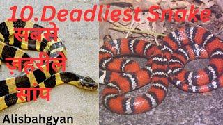  10 Deadlieast snake | Dangerous Snake | snake poison  | Alisbahgyan 