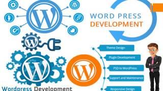 WordPress Development Company