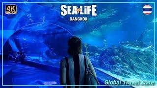 SEA LIFE Bangkok Ocean World Siam Paragon Aquarium  Thailand