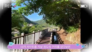 김천 증산수도계곡캠핑장 리뷰!!