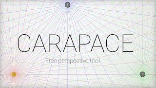 Carapace - A free perspective tool that works with any software