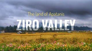 Ziro Valley: The Land of Apatanis I Best Places to Visit in Ziro Valley I Complete Tour Guide