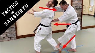 Controlling and Manipulation Tactics From Sanseiryu Kata