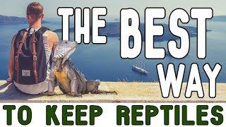 The BEST Way to keep REPTILES as pets