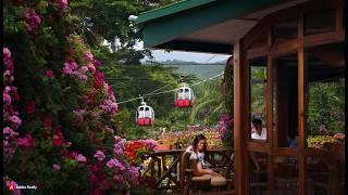 Family Friendly Paradise! Restaurant with a Zipline Adventure! @insta360 #insta360x4 #Philippines