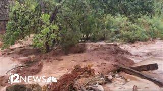 One missing, hundreds still stranded in Havasu Canyon after Thursday flash floods.