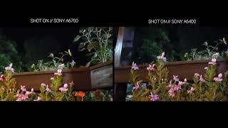 Sony A6700 VS Sony A6400 | Night Mode Camera Test