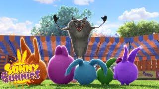 Videos For Kids | Sunny Bunnies THE BIG GRAY WOLF | Funny Videos For Kids