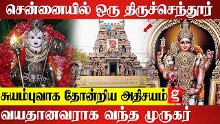 முருக பெருமான் அழைத்தால் தான் இந்த கோவிலுக்கு வர முடியும் | Thiruchendur Murugan Temple Tour Chennai