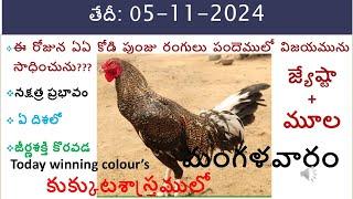 05 Nov 2024 Today winning colours /Today winning colours/vision of kukkuta sastram in colours update