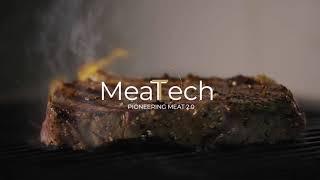 Animated proof of concept video for 3D Printed Vegan friendly meat by - Meatech Israeli startup