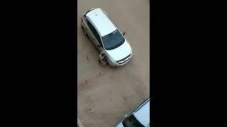 Вот что наркотики делают с человеком.