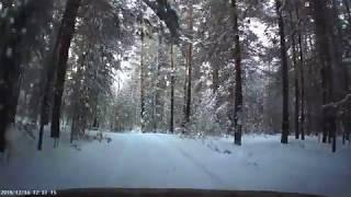 Дорога через зимний лес/Road in winter forest