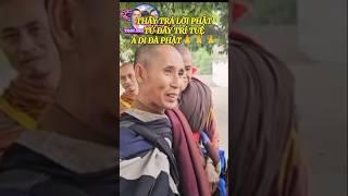 THẦY TRẢ LỜI PHẬT TỬ ĐẦY TRÍ TUỆ A DI ĐÀ PHẬT#shortvideo #thichminhtue