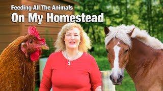 Watch me feed all the funny animals on my small homestead.