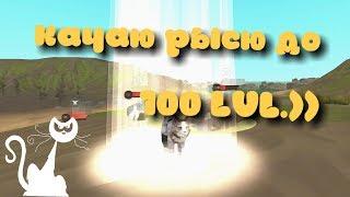 WildCraft: качаю рысь до 100 lvl.))