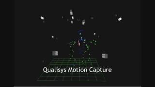 Qualisys Motion Capture of a Horse and rider