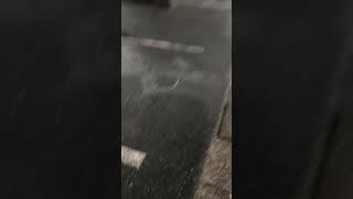 Vid of me walking yesterday that i forvot to post(Spykechan short)