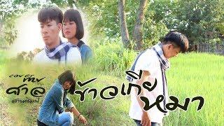 ข้าวเกียหมา - ศาล สานศิลป์【COVER MV】มะแลมมะแตม