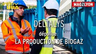 Innovation : Deltalys dépollue la production de biogaz