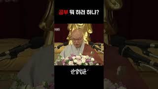 공부는 해서 뭐해요? #무비스님 #화엄경