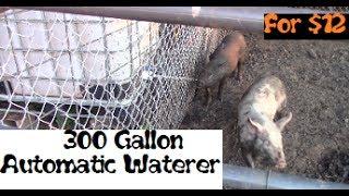 how to make a automatic pig waterer