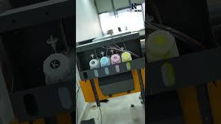 Direct Sunpack and Eco Solvent Hybrid Printer | Rubix Tech