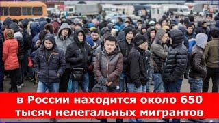 в России находится около 650 тысяч нелегальных мигрантов.