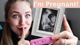 Pregnancy Reveal Treasure Hunt!