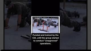 US Political Groups you didn’t know existed - Part 1 - Alpha 66
