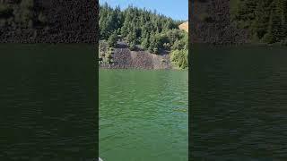 Drano Lake Wa Late Run Chinook