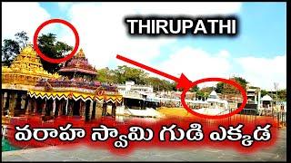 Venkateswara Swamy Tample | Varaha Swamy Tample Ekkada | Thirupathi | Bakthi | idi Mana channel |ep2