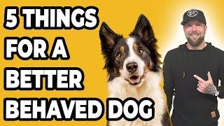 You Must Master These 5 Things For a Better Behaved Dog