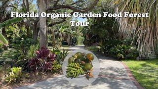 Florida Organic Edible / Tropical Garden Food Forest Tour | June Zone 10a