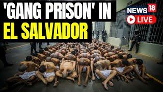 First 2000 Inmates Moved To El Salvador's New 'Mega Prison' | US News LIVE | English News | News18