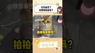 狗子：为我花生！为我花生！！！
