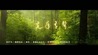有声书    榴弹怕水     绍宋     演播伍壹先生   【 第0919集 至 第0992集 】